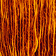 Image for article titled This is not a Hubble photo of a supernova—it's food